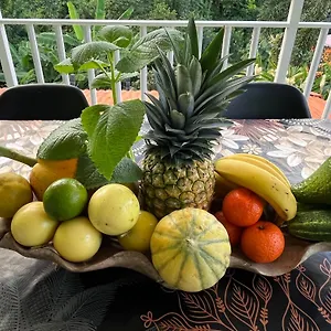Flores De Maria Appartement Le Marin